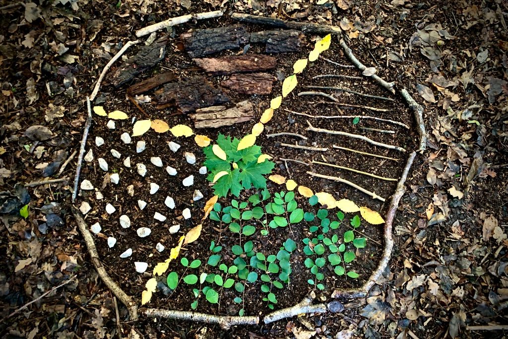 A mandala made in Forest School.